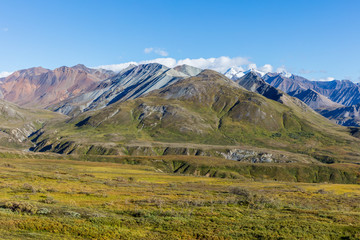 Fototapeta premium Scenic Denali National Park Alaska Landscape