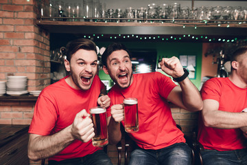 Sports fans celebrating goal for their team and cheering at sports bar.