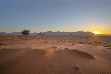 Wind swept patterns at sunset