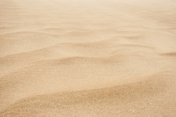 Fototapeta na wymiar Wavy sand texture