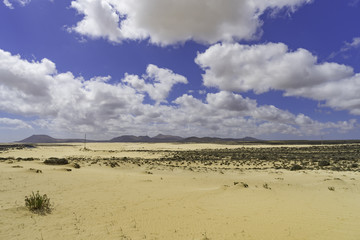 Landscape Dunes Of Canary Islands, Spain.