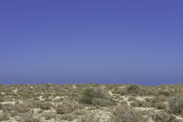 Landscape Dunes Of Canary Islands, Spain.