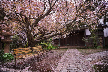 和歌山 - 加太　談山神社