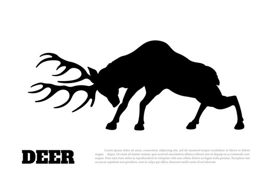 Black silhouette of fighting deer. Forest animal. Isolated drawing. Vector illustration