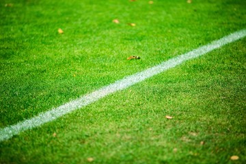 Grass And Chalk Line On Football Pitch Close-up