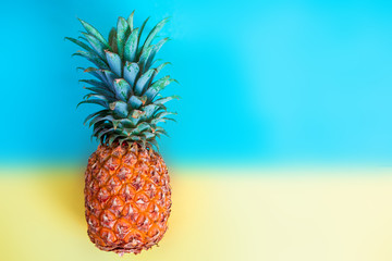 pineapple fruit is yellow on a blue background