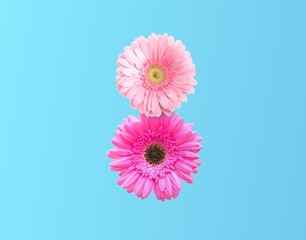 International Women's Day. number 8 in the style of pink flower on pastel blue background. minimal idea nature. An idea creative to Flyer for March 8 with the decor of floral, spring flowers concept.