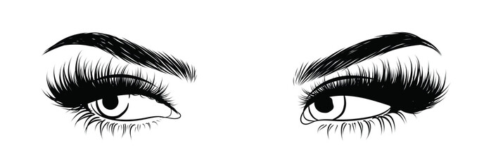 Illustration of woman's sexy luxurious eye with perfectly shaped eyebrows and full lashes. Hand-drawn Idea for business visit card, typography vector. Perfect salon look.