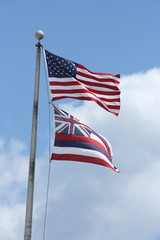 Fototapeta premium The flag of the state of Hawaii is the official flag for the U.S. state of Hawaii
