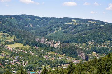 Obraz premium Ruin of the Vranov castle near Jizera river