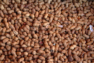 Fresh Peanuts in Shells