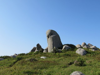 Pedra