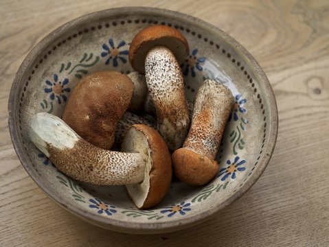 Frische Rotkappen in einer uralten Schale