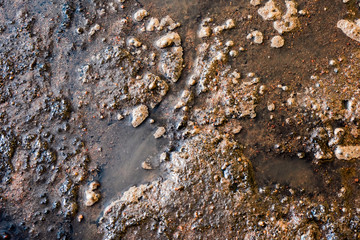 A dirty puddle is close in cold and warm tones
