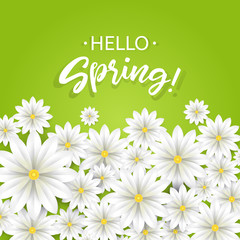 Hello Spring.Hand lettering with white flowers border.Paper chamomile on green background. Vector illustration.