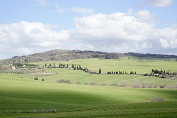 Fototapeta na wymiar Val d'Orcia countryside, tuscany landscape
