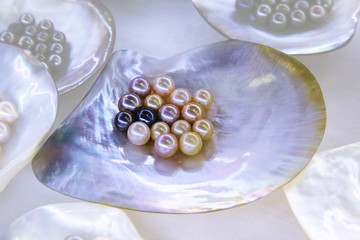 Multiple pearls in sea shell