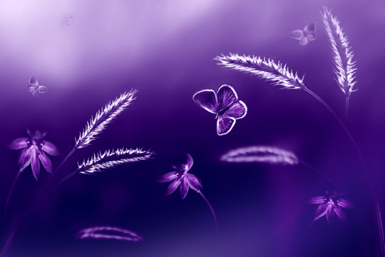 Ultraviolet and pink natural fashionable background. Butterflies in flight and flowers and grass. Artistic dark purple image. Soft focus.