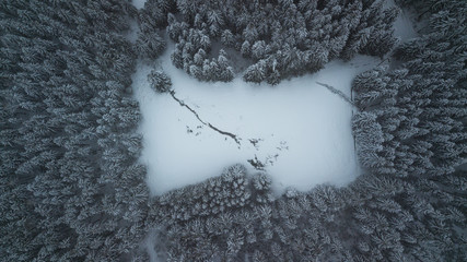 Schwarzwald im Winter aus der Luft