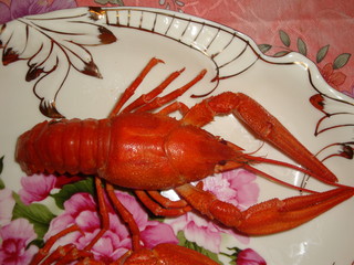 Many cancers boiled large, red on the table. Eyes, long antennae, and oral cavity with additional processes and a pair of claws.
