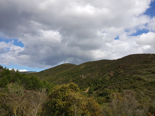 Naklejka premium Paesaggio di Sardegna