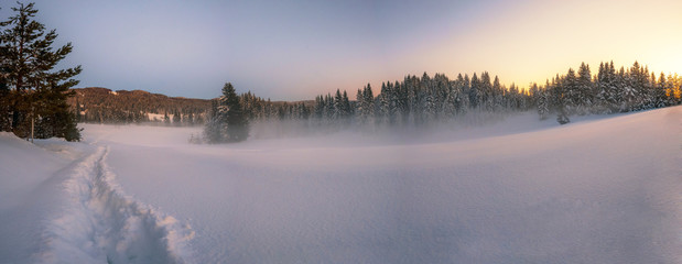 Fototapeta na wymiar Winter snowy landscape
