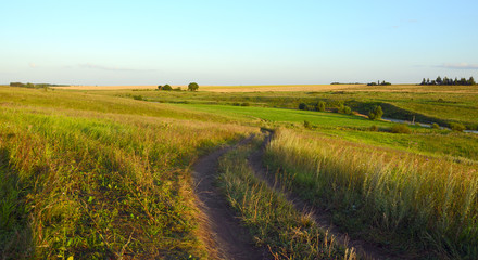 Obraz premium Sunny summer landscape with ground country road.Beautiful view.Green hills,fields and meadows.Tula region,Russia.Sunset.Quiet weather.Calm.Warm sunlight.Cloudless clear blue sky.