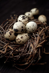 Naklejka na ściany i meble Quail eggs in nest on rustic wooden background, copy space. Healthy food concept. Top view, flat lay. Easter eggs. Happy Easter concept
