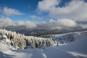 Sunny weather in the mountains of the Carpathians. Blue sky. 
