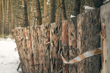 Wooden timber fence made of pine logs in winter forest background. Construction site. Fence on the...