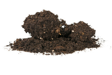 humus on white background