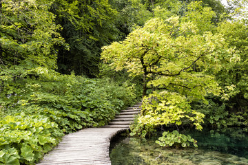 Paradise landscape in Plitvice Lakes National Park in summer in Croatia