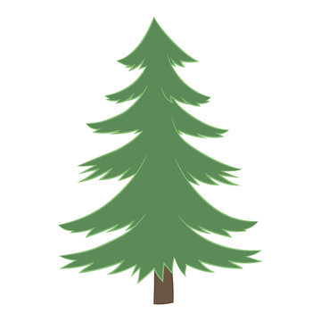 Vector painted pine Christmas tree with green pine-tree trunk isolated on white background.
