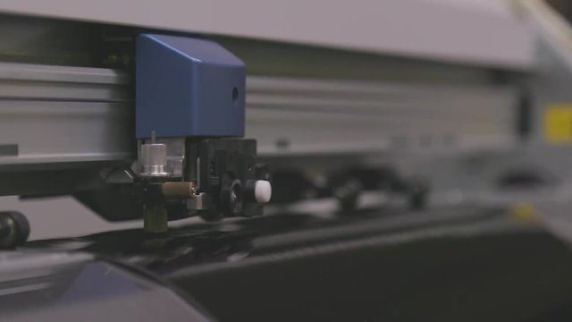 Large Plotter Cutting Design into Vinyl