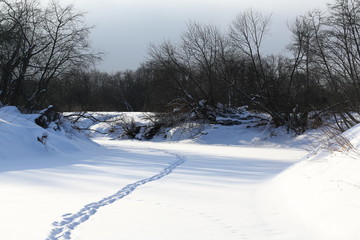 Path in the channel of the frozen river