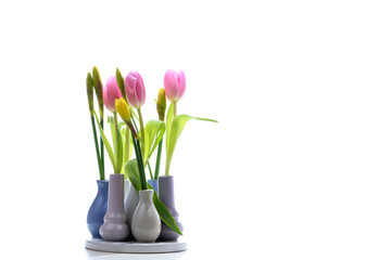 Fototapeta na wymiar Tulpen und Narzissen in einer Vase