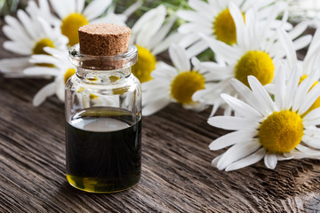A bottle of chamomile essential oil with fresh chamomile