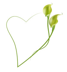 Realistic green-yellow calla lily frame, heart.