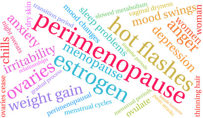 Perimenopause Word Cloud on a white background. 