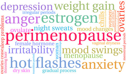 Fototapeta premium Perimenopause Word Cloud on a white background. 