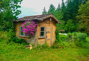 Fototapeta na wymiar Small poor romantic cottage