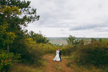 Beautiful wedding photosession. Handsome groom in blue formal suit and bow tie with boutonniere and his elegant bride in white dress and veil with a beautiful hairdress on a walk in field with shrubs