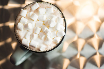 Fototapeta na wymiar Cocoa with marshmallows top view