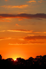 Sunset behind the trees in red summer village 