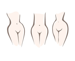 Set with nude attractive woman silhouette torso. Three types of female figure, the middle waist, low waist, high waist. Sketch of woman naked body.