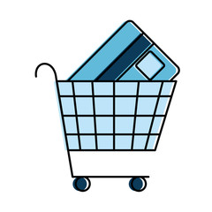 shopping cart with credit card