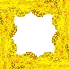 Beautiful floral background of yellow flowers 