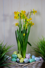 Easter eggs and chick hiding in the grass with daffodil
