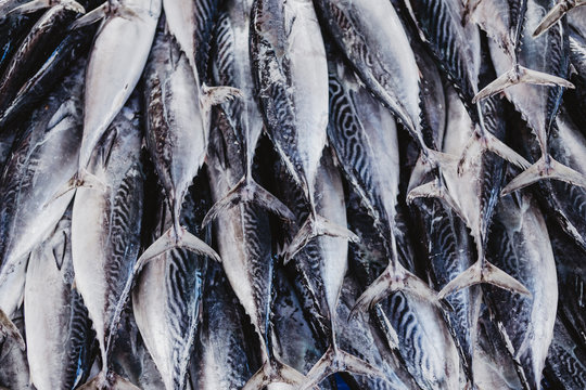 Sri Lankan Fish Market