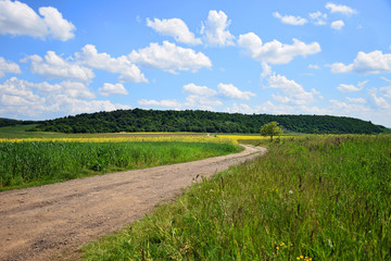 Countryside landscape - green grain farm field in spring
